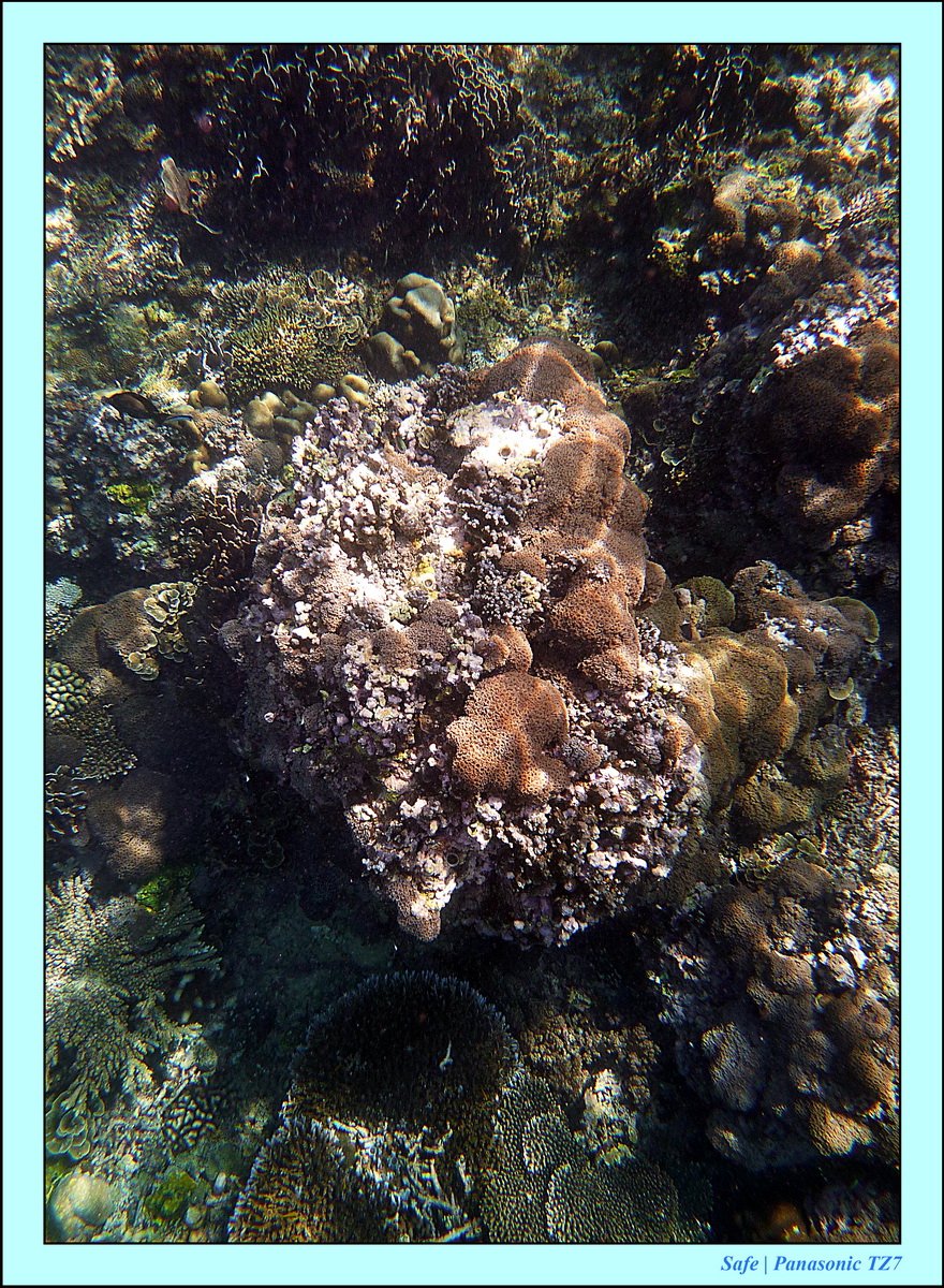 2012 - 07 - Gili - 69